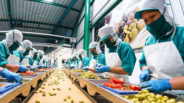 Food Processing