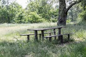 Keep your cool during warm weather with treetop's commercial shade structures. Wooden Table And Benches For A Picnic On The Grass Of The Park Stock Photo Picture And Royalty Free Image Image 125013408