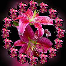 Https Encrypted Tbn0 Gstatic Com Images Q Tbn And9gcsp4pphxqssjdt5q3jhsadni9xexyeoyrvw Q Usqp Cau
