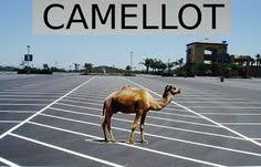 The total disconnect is key to the series of jokes, and also why you'll find it hard to get your friends to answer. Crotchety Camels