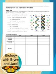 Dna Transcription And Translation Review Transcription Translation Biology Lessons Transcription