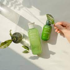 Innisfree Green Tea Seed Serum Green Skincare Treating Dry Skin Skin Care