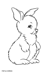 Disegni Di Conigli Da Stampare E Colorare Gratis Portale Bambini Rabbit Coloring Coloringpages Coloringinspiration Disegni Coniglietti Colori