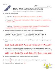 Rna and protein synthesis vocabulary: 29 Rna And Protein Synthesis Gizmo Worksheet Answers Free Worksheet Spreadsheet