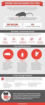 Insect control costs an average of $176 with a typical range between $111 and landlords usually pay this bill since bugs can pass through walls and infest an entire building quickly. Keep Your Restaurant Pest Free Truly Nolen Pest Control