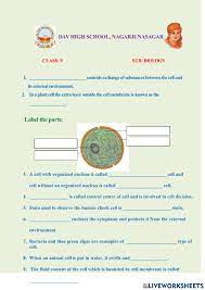 We did not find results for: Cell Structure And Function Worksheet