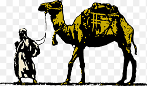 The game caters to most playstyles, and new players tend to get a bit overwhelmed by the endless list of things to do. Desert Animals Png Images Pngegg