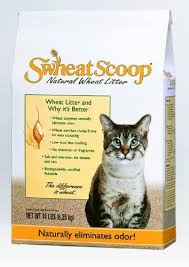 Swheat Scoop Fastclumping Allnatural Cat Litter 14lb Bag You Can Find More Details By Visiting The Im Pet Care Cats Flushable Cat Litter Natural Cat Litter