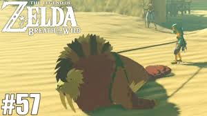 Like the elephant, it's causing a storm which. Breath Of The Wild Part 57 Sand Seal Surfer Youtube