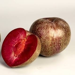 نهال آلو خاکی (تو‌سرخ)