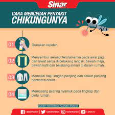 Cara Mencegah Penyakit Chikungunya Penyakit Tanda