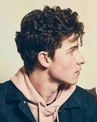 Pin On Shawn Peter Raul Mendes