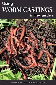 We did not find results for: 7 Ways To Use Worm Poop In A Garden Kellogg Garden Organics