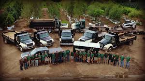 Image result for Tree Green 2018 Fleet