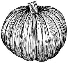 File Pumpkin Psf Png Wikimedia Commons Pumpkin Illustration Halloween Illustration Public Domain Images Vintage