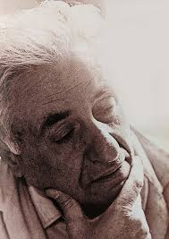 Bildergebnis für Saliba Douaihy