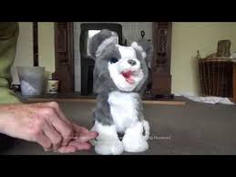 Happytail puppies is a close knit group of friends and families that are committed to breeding and adopting out the. Review Of Hasbro Fur Real Ricky The Trick Loving Pup Youtube