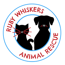 Wags & whiskers animal rescue of mn, minneapolis, minnesota. Ruby Whiskers Animal Rescue Posts Facebook