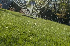 It may take repeated applications to effect complete control of bermuda grass. Don T Get Lost With Bermuda Grass Lawn Uk