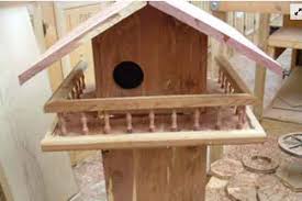 We did not find results for: 9 Diy Squirrel House Designs That Will Look Amazing In Your Yard