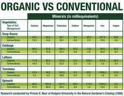 Chapter 11 Organic Vs Non Organic What Is The Mineral