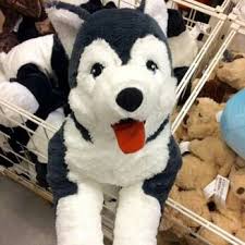 Ikea Livlig Husky Plush So Adorable 3 Haski Vdohnovlyayushie