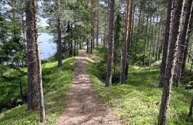 Bergslagen model forest will be sweden's second. Der Wanderweg Bergslagsleden In Orebro Schwedentipps Se