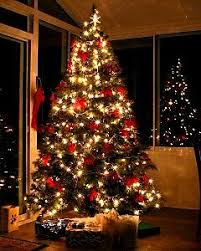 Christmas Decorations On Uk Home Ideas Christmas Tree Hill Christmas Tree Decorations Christmas Trees Uk