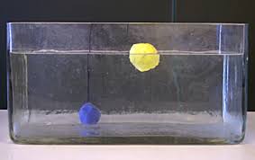 Ein körper schwimmt, wenn die von ihm verdrängte wassermenge schwerer ist als er selbst. Schwimmen Oder Sinken Alles Eine Frage Der Dichte Landesbildungsserver Baden Wurttemberg