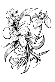 Iris Black And White Art By Celestiaward On Deviantart Iris Flower Tattoo Iris Tattoo Iris Flowers