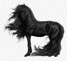 More animal heads on the way people so let me start with something i drew two. Black Beauty Horse Anime Hd Png Download Vhv