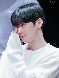 pin oleh aubrey gamba di cha eun woo