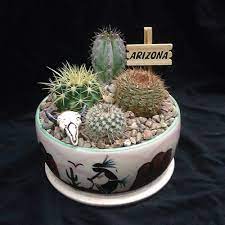 This cactus garden includes everything you need to grow your own floral cacti. Cactus Gifts 20 Gift Ideas For Succulent Lovers