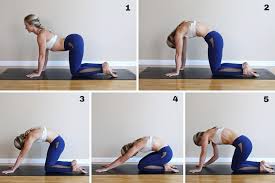 A wonderful way to start off any yoga practice is with a round cat pose to cow pose. Easy 5 Minute Stretch To Release Low Back And Hip Pain Lexington Athletic Club