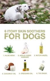 Add one cup of baking soda to the tub and mix it into the water. Stop Dog Itching Home Remedy Off 50 Www Usushimd Com