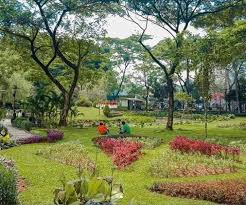 Harga tiket masuk taman safari prigen pasuruan 2021. Ny3lsjugzmicum