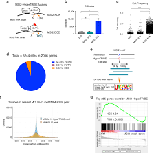 Výslovnosť, konverzácie a gramatiky pre hlavné európske jazyky. Hypertribe Uncovers Increased Musashi 2 Rna Binding Activity And Differential Regulation In Leukemic Stem Cells Nature Communications