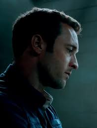 The Steve McGarrett Story