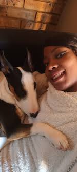 My sweet Trout puppy with one of my beautiful Bullterriers Delilah. She  thinks she is his momma.