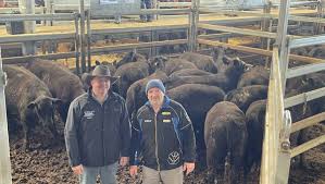 Carcoar weaner steers sell to $1060 a head