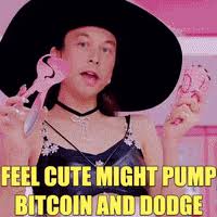 The best cryptocurrency memes and images of may 2021. Elonmusk Gif By Bitcoin Crypto Creative Marketing Find Share On Giphy