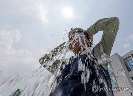 연합뉴스 - News update