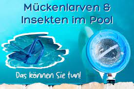 Sobald dein pool stärker von mückenlarven befallen ist, kommst du nicht um einen einsatz solcher… ich habe viele mückenlarven im pool. Muckenlarven Und Andere Schwimmende Insekten Im Pool Was Tun Gartenlexikon De