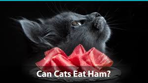 Massage the ham with the butter and honey mixture, then glaze as directed in recipe and broil. Can Cats Eat Ham Or Is It Bad For Them