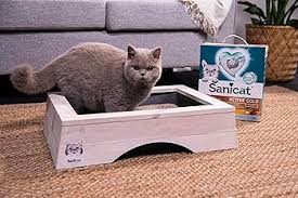 Sanicat Active Gold