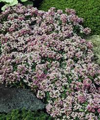 Pin On Outdoor Spaces