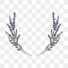 Watercolor Lavender Bouquets Lavender Flower Floral Png And Vector With Transparent Background For Free Download