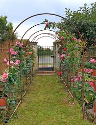 Best sellers in plant support garden stakes. All Round Arches Wrought Iron Headband For Rose Tunnels Climbing Plants Etc Recuperando