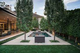 Privacy landscaping ideas to try in your yard. Privacy Trees And Shrubs Modern Landscaping Ideas Houzz