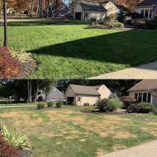 Many people have asked how the sunday lawn treatments (get sunday) have worked out. Nwbzkcjpkj4lrm